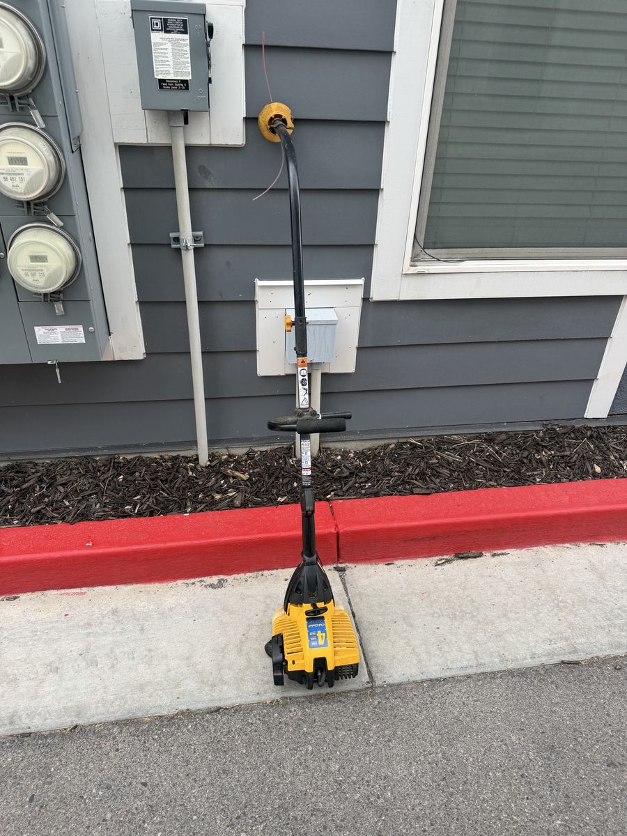 Cub Cadet CC4125 4-Cycle Weed Eater