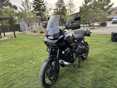 2022 Harley Davidson Pan America Special