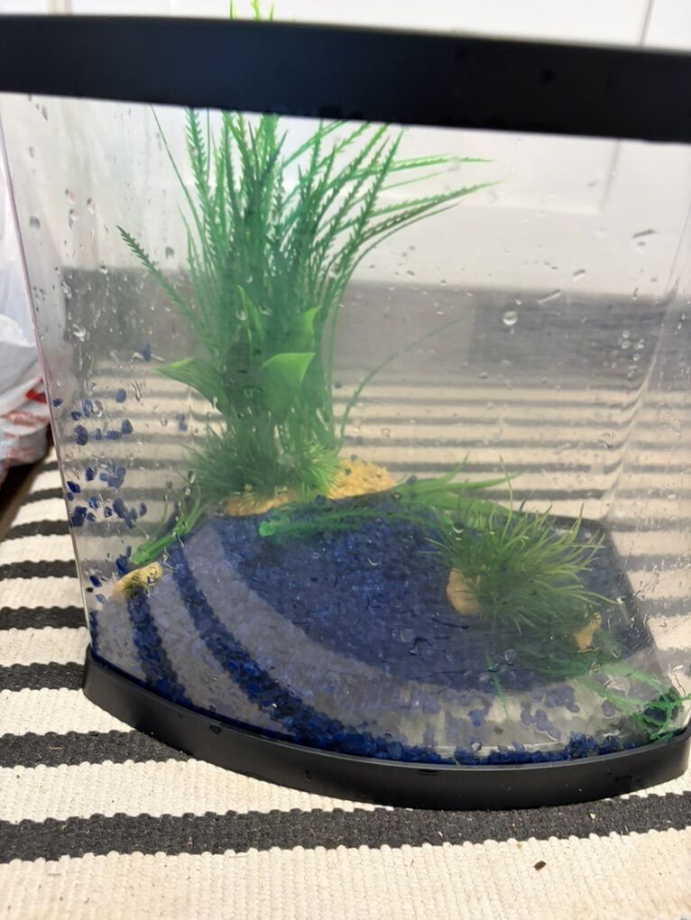 Fish Tank and Accesories