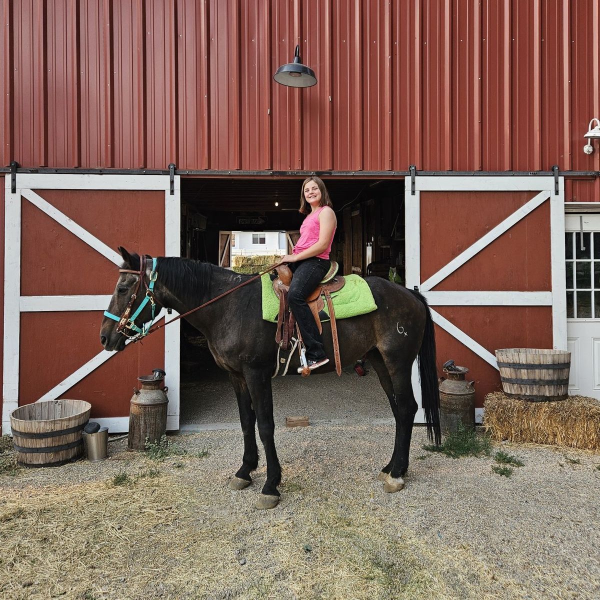 free horse