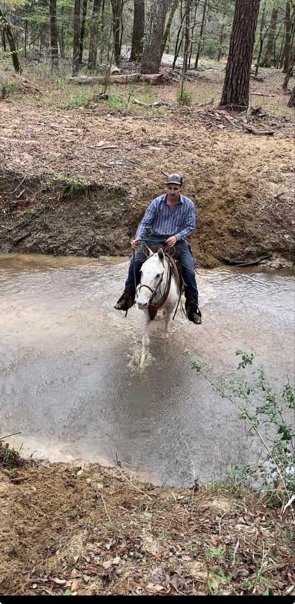 10 year old John Mule