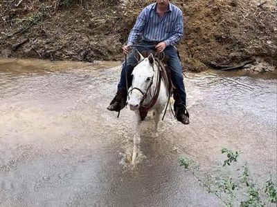 10 year old John Mule