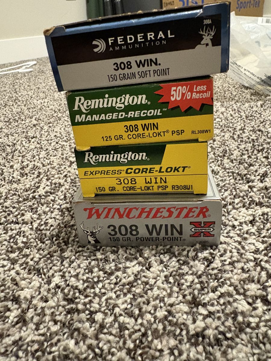 308 Winchester Ammunition