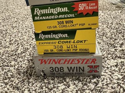 308 Winchester Ammunition