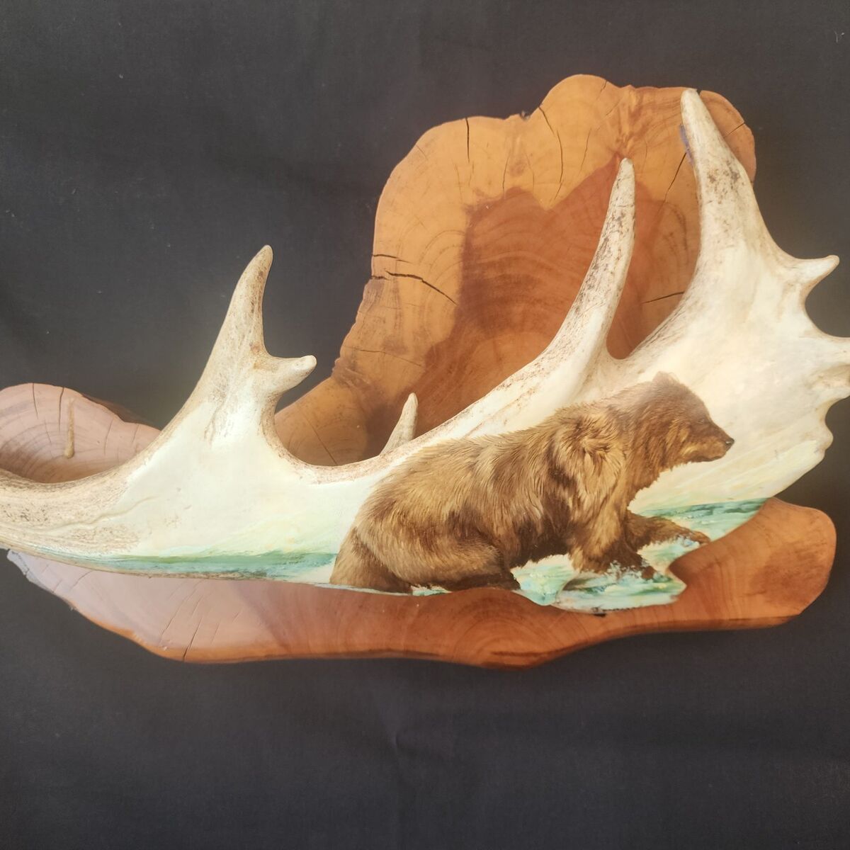 Brown Bear on the River