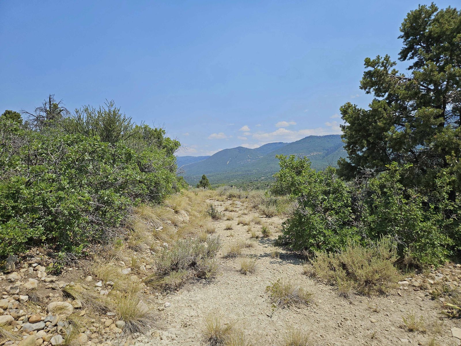 Main image 6