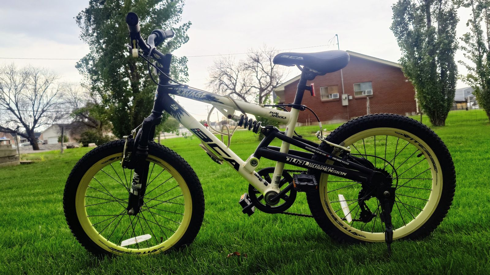 20" BCA Terrain Savage Mountain Bike
