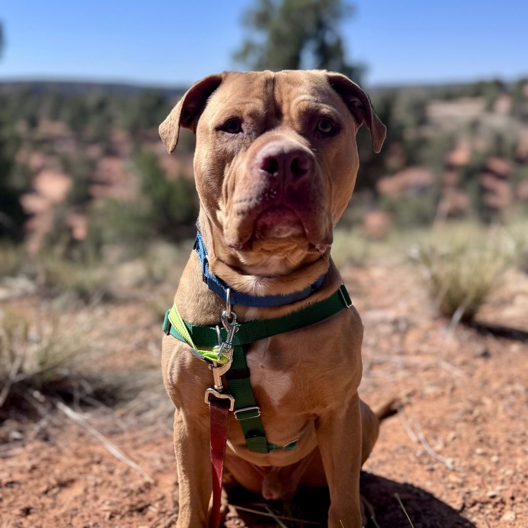 Hello my name is Heezy