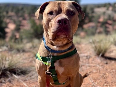 Hello my name is Heezy