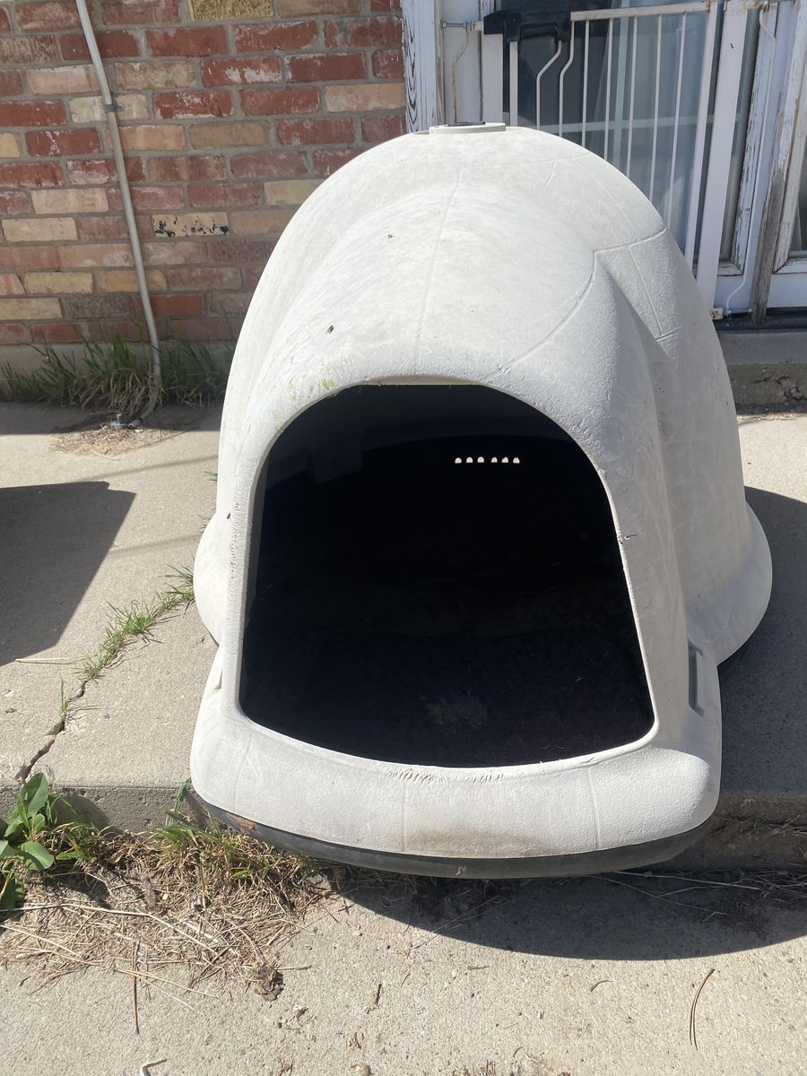Large Dog House