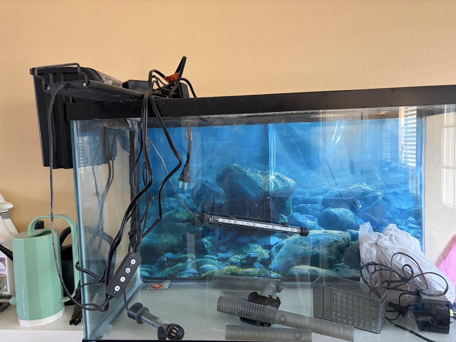 Fish Tank 29 Gallon