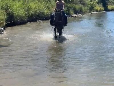 Training spot available