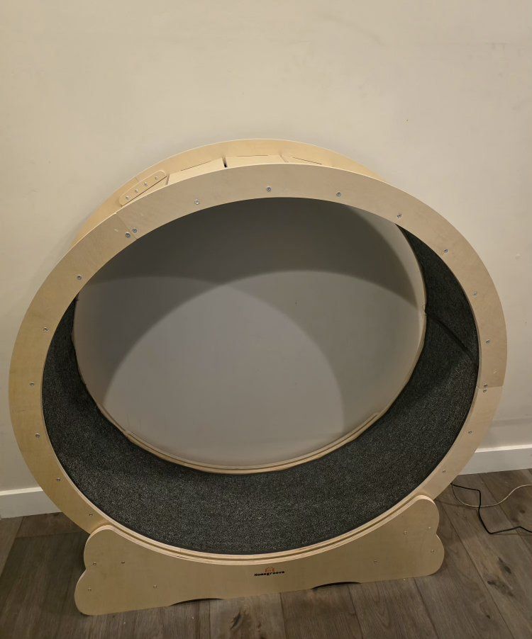 Homegroove Wooden Cat Exercise Wheel - Large Pet Treadmill with Carpeted Track