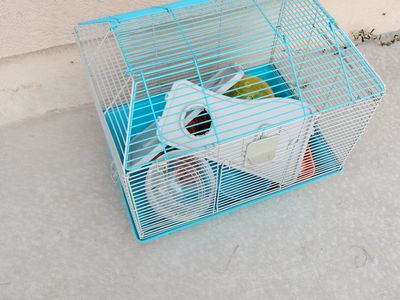 hamster cage with accessories