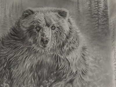 Grizzly Bear Pencil Drawing Wildlife Art Illustration