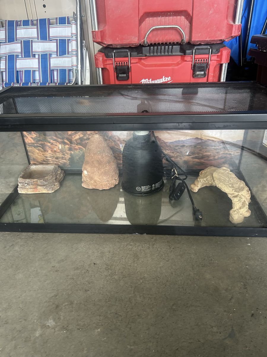 Reptile set up 