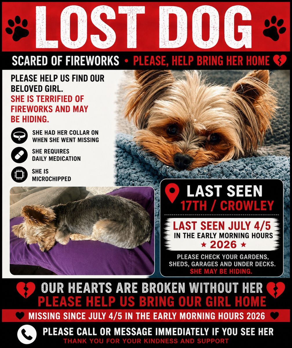 Missing Yorkie