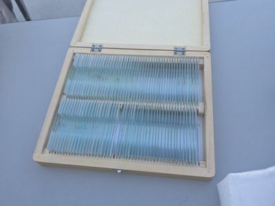 Amscope Microscope with Slide Set
