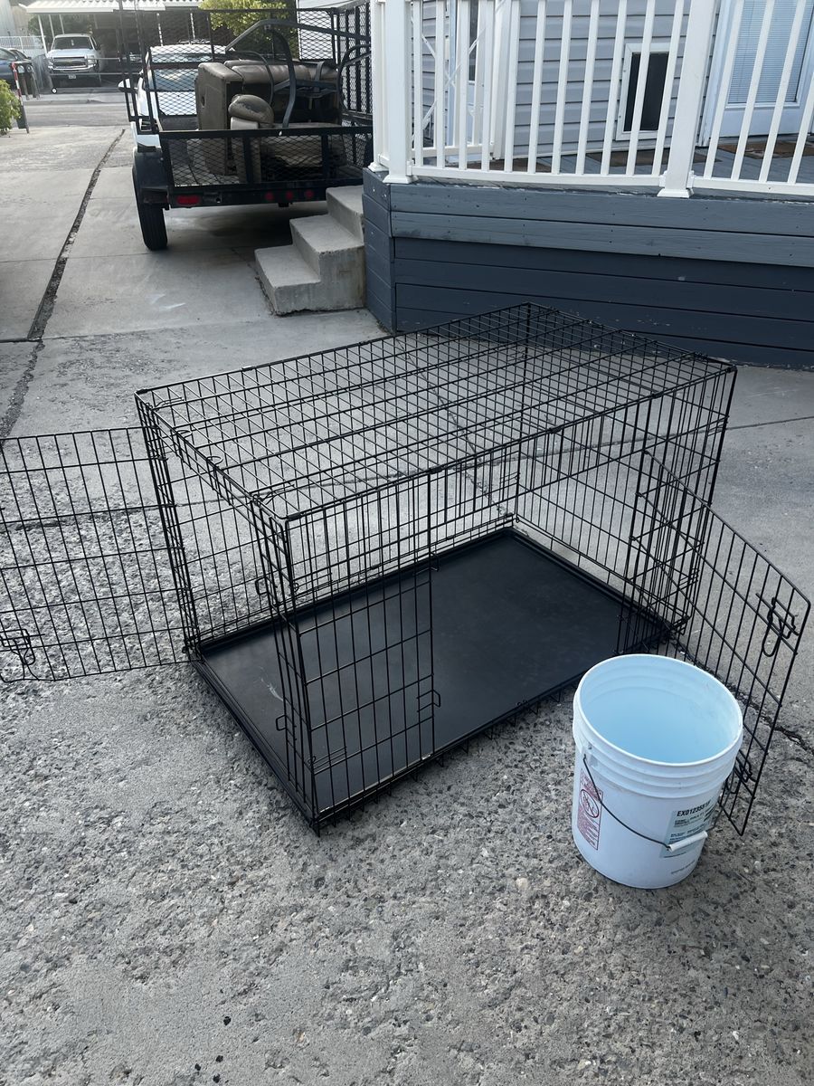 Large dog crate