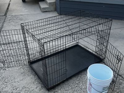 Large dog crate