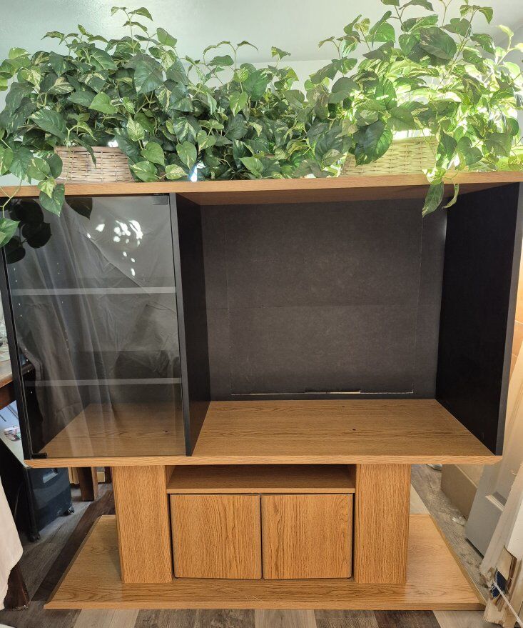 Entertainment Cabinet