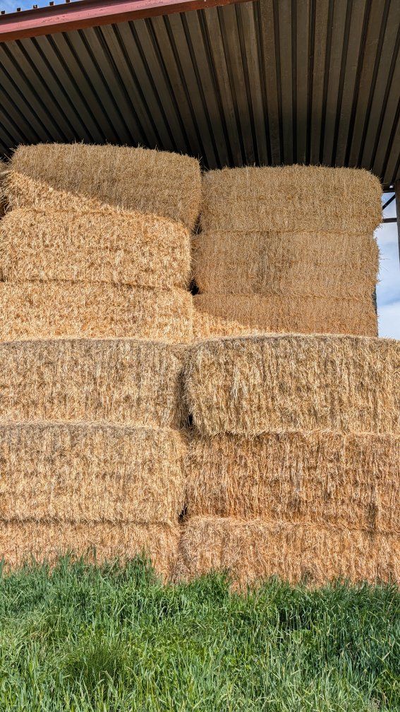 3x3 barley straw bales