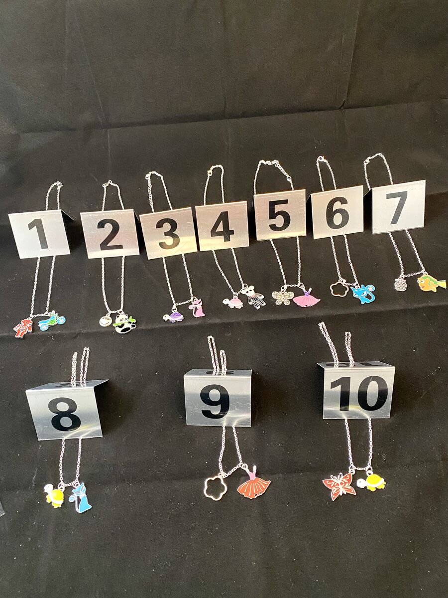 NEW - Two Necklaces In One - Simply Slide Off One Pendant From The Silver Plated Chain - C PIX