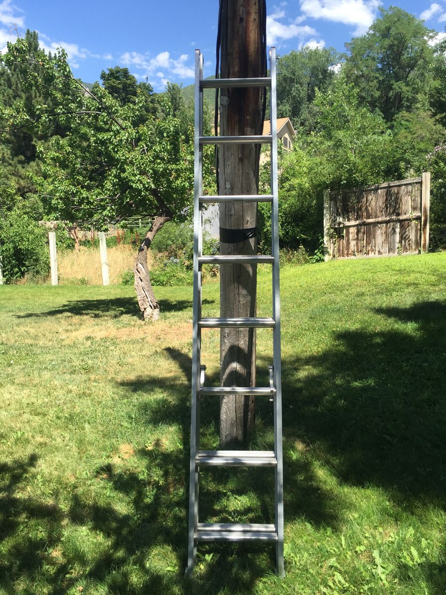 Ladder