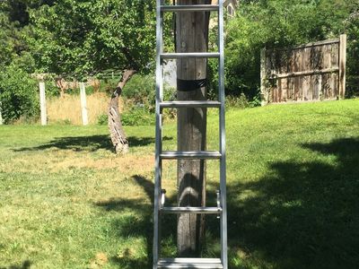 Ladder