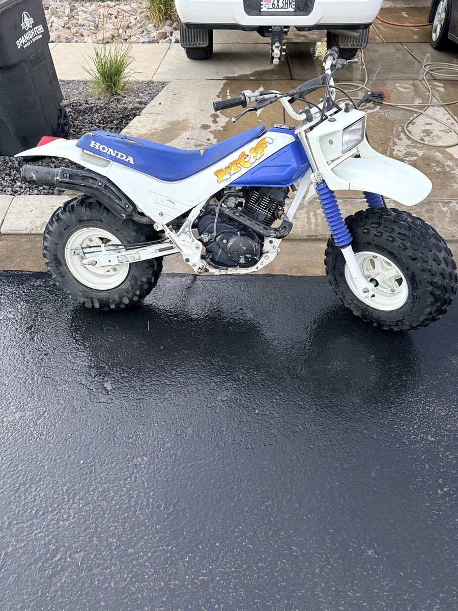 Honda FatCat 1986