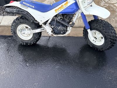 Honda FatCat 1986
