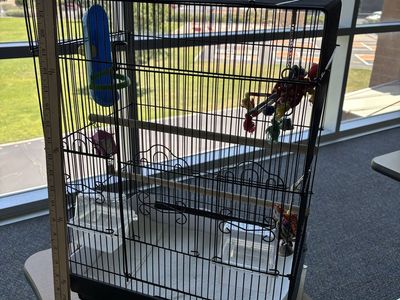 Bird cage