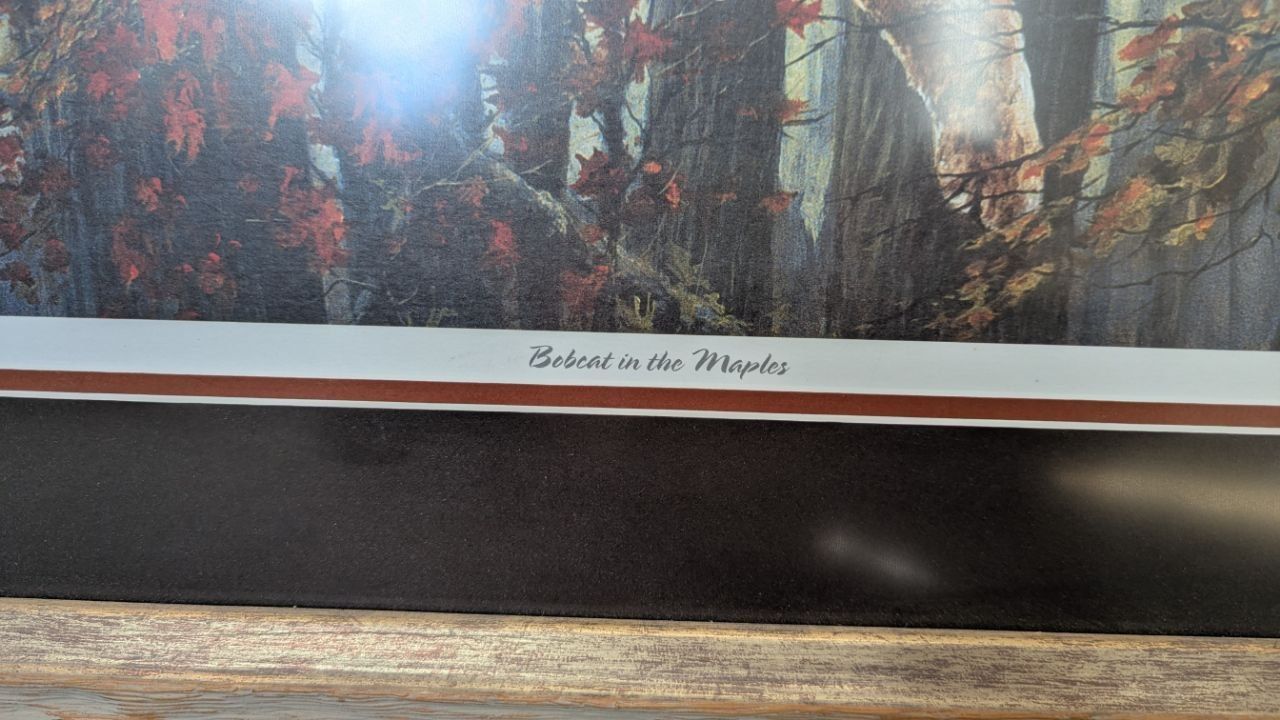 Main image 4
