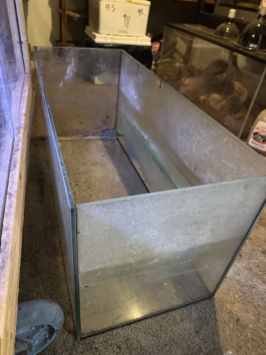 Rimless 37 gallon aquarium for sale.