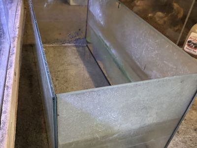 Rimless 37 gallon aquarium for sale.