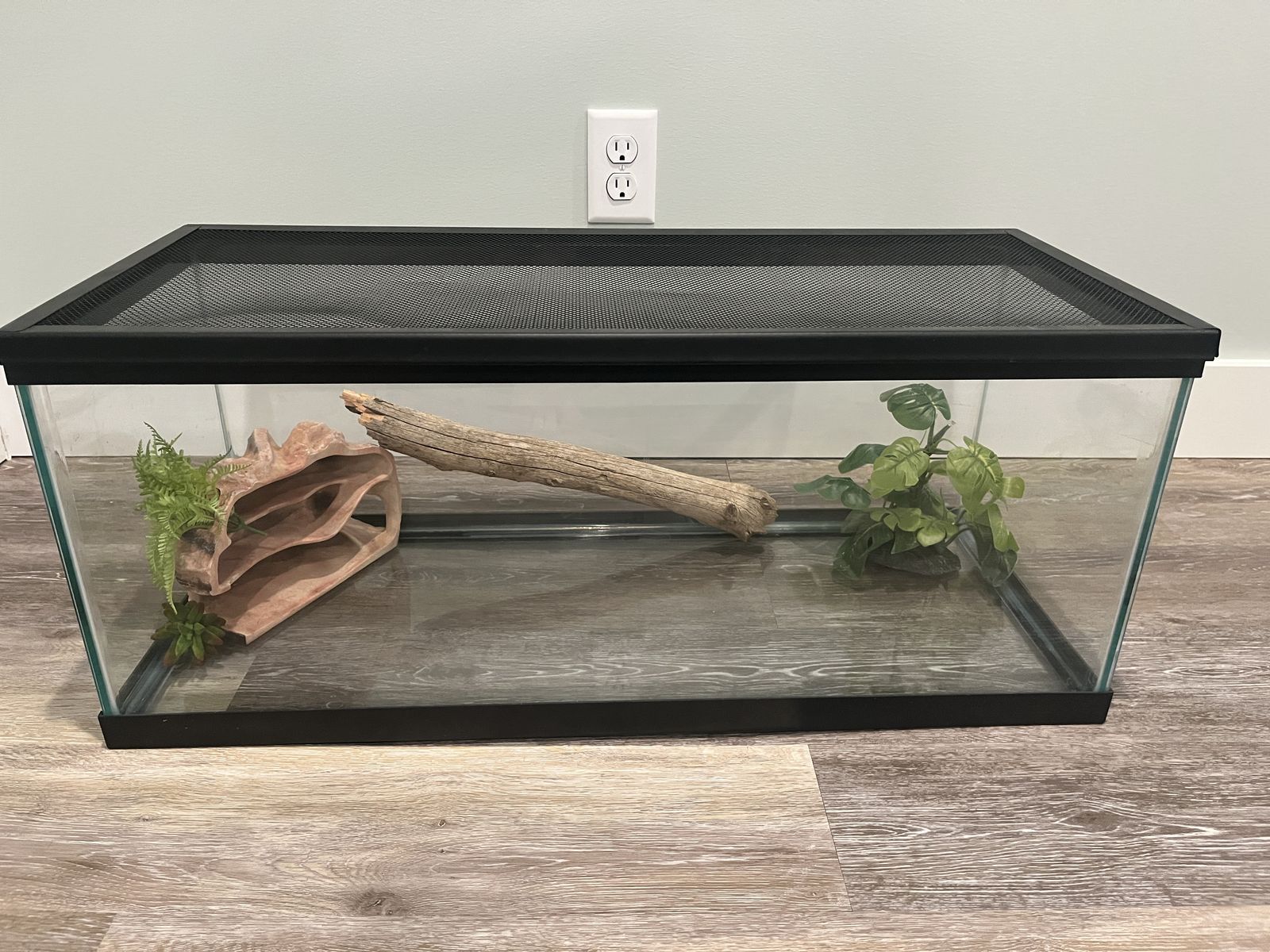 Terrarium