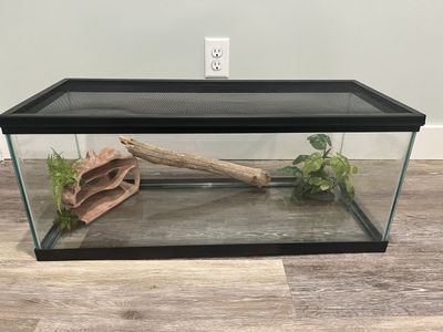 Terrarium