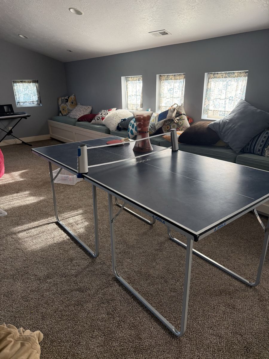 Mini Ping Pong Table