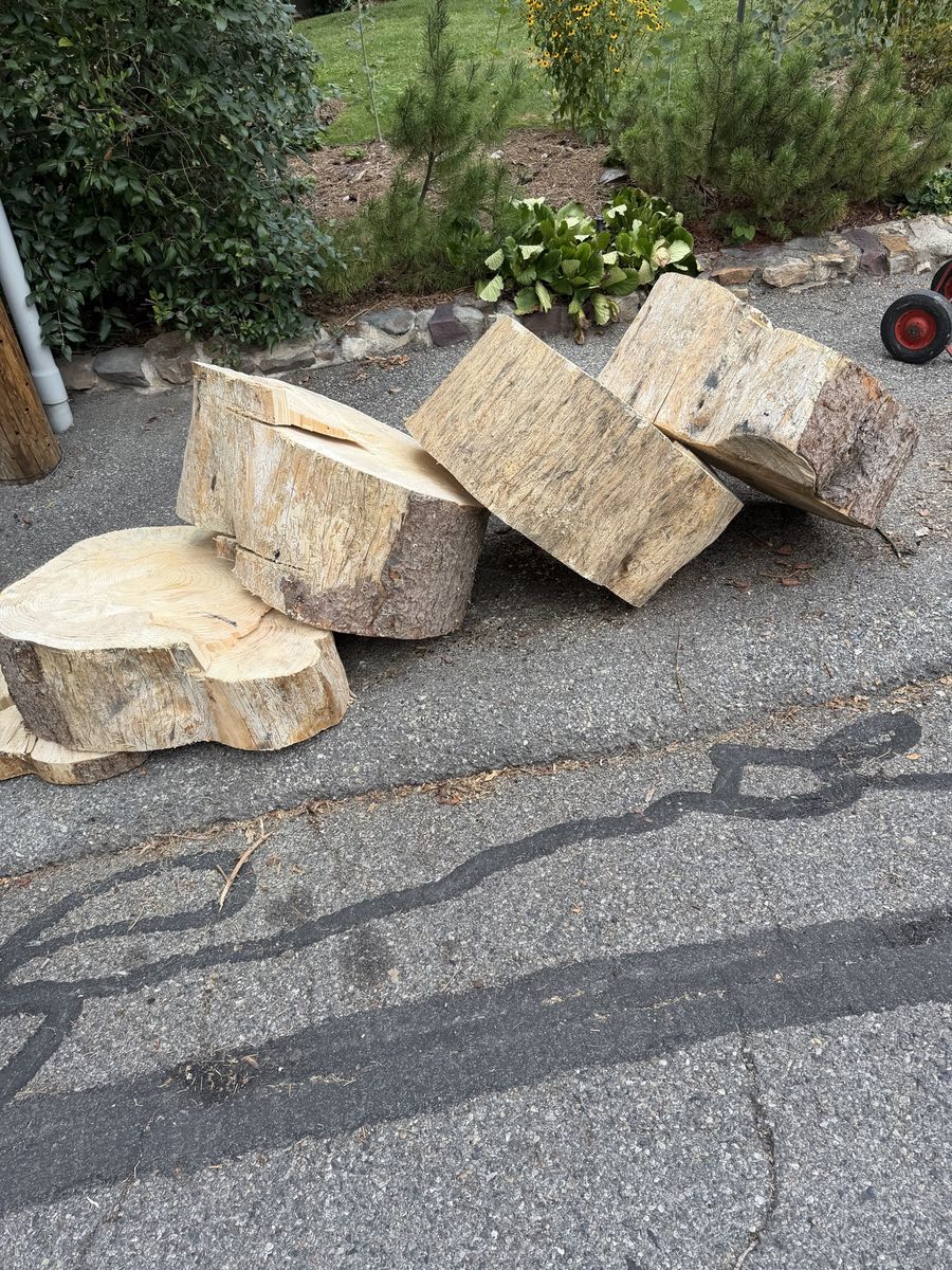 Free Sliced Pine Firewood - Large Dry Logs
