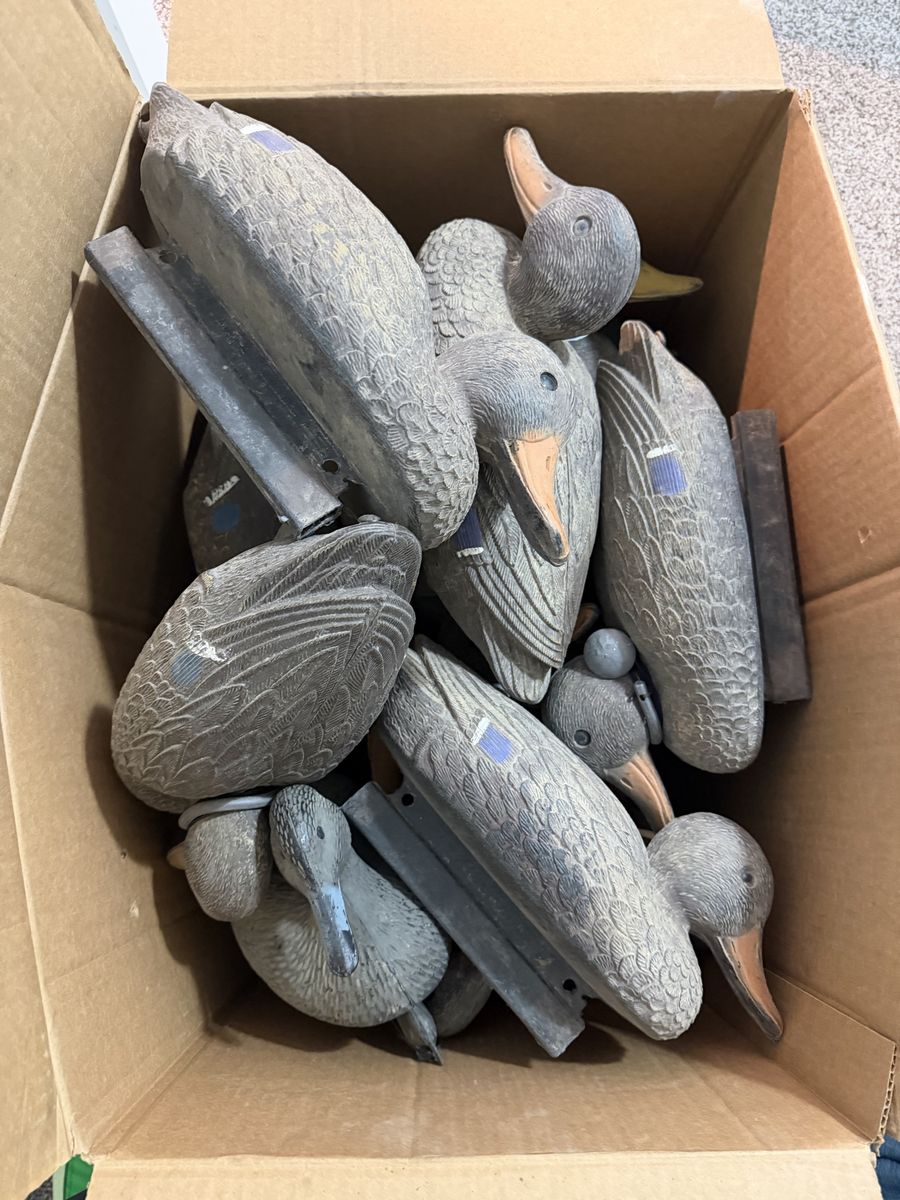 Duck Decoys