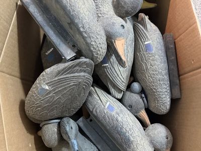 Duck Decoys