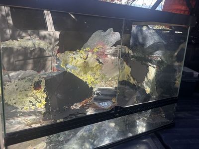 Exoterra 36x18 x24 custom lid