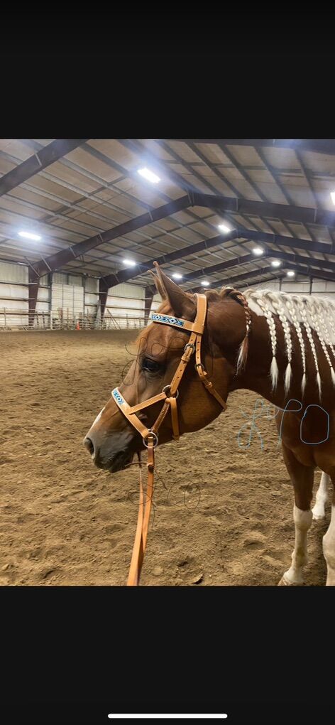 Bittless Bridle / Sidepull