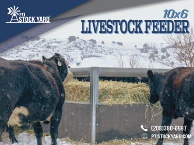 10x6 Livestock Feeder- with rubber belting