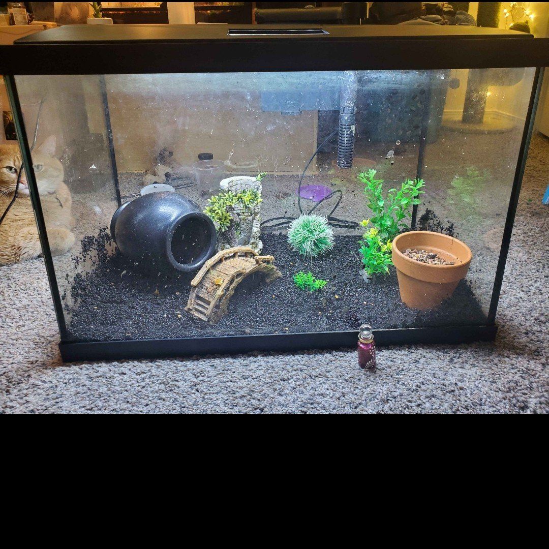 20 gallon fish tank and equipment