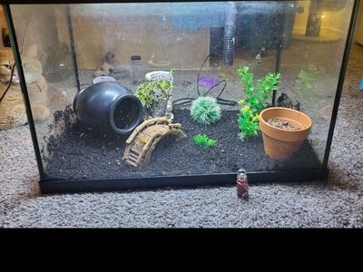 20 gallon fish tank and equipment