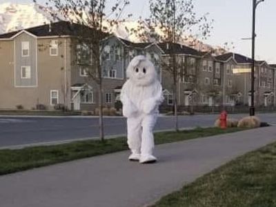 Easter Bunny Costume