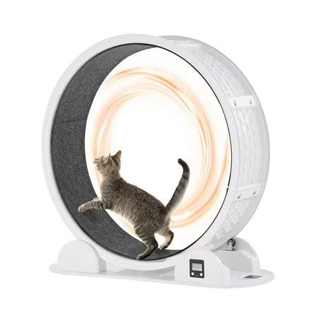 KFFKFF 40.8" Cat Exercise Wheel, 30lb+