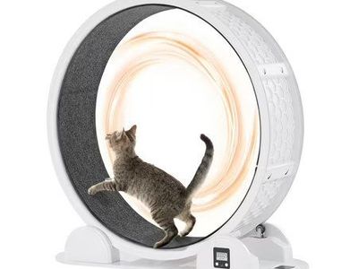 KFFKFF 40.8" Cat Exercise Wheel, 30lb+
