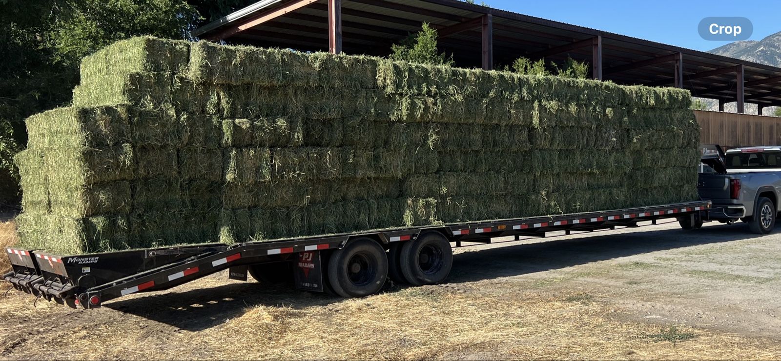 Alfalfa hay small bales